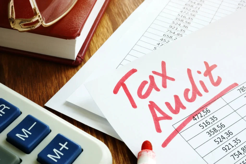 tax audit